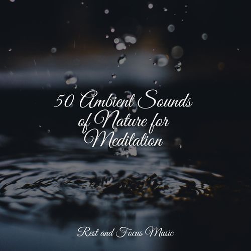 In Search of Rain cover art