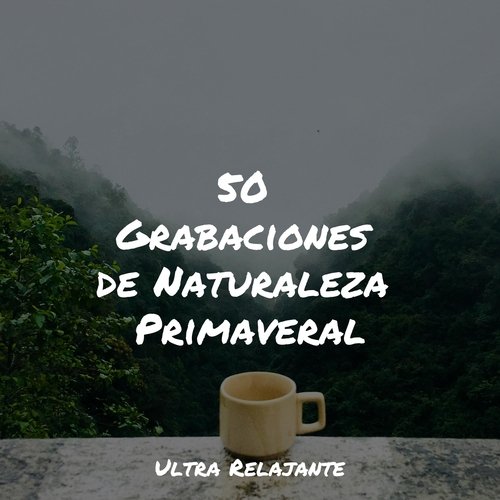 La Tranquilidad Del Campo