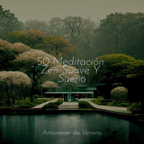 50 Meditación Zen Suave Y Sueño