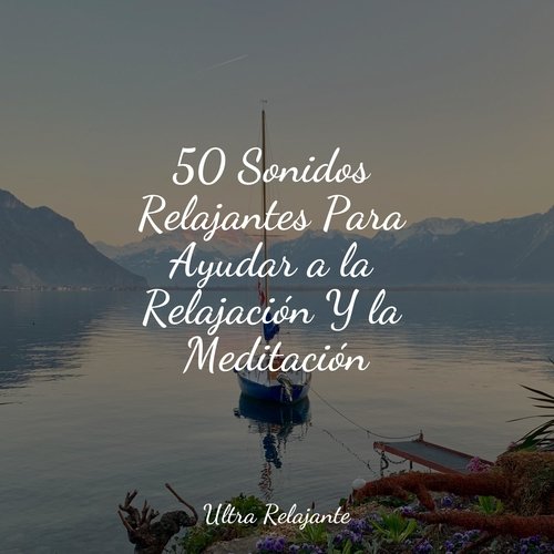 50 Sonidos Relajantes Para Ayudar a la Relajación Y la Meditación