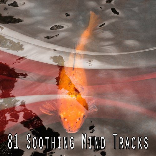 81 Soothing Mind Tracks