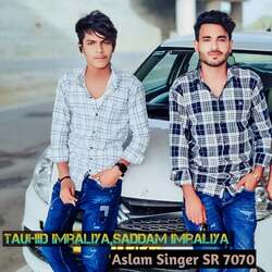 Aslam Singer SR 7070-ChtdXw1WfmI