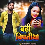 Badhi Vipatiya