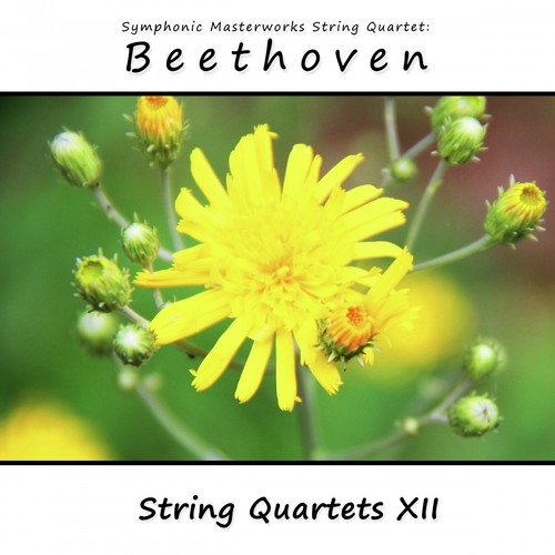 Beethoven: String Quartets, Vol. 12