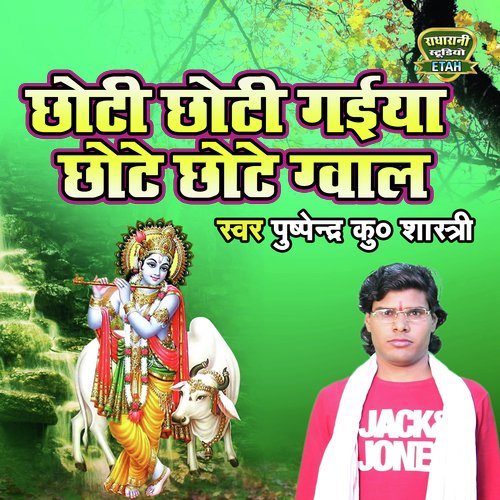 Chhoti Chhoti Gaiya chhote Chhote Gwal (Hindi)_poster_image