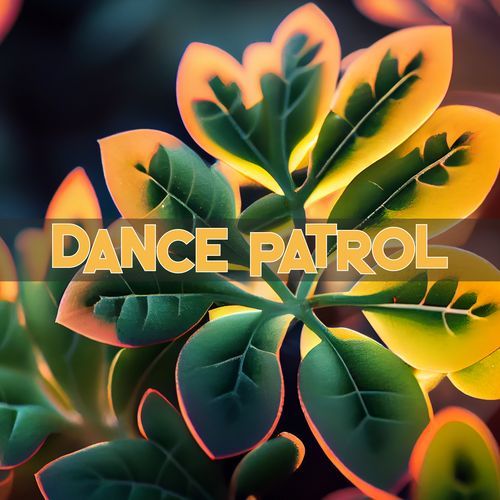 Dance patrol_poster_image