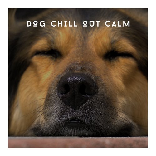 Ambient Stress Buster cover art