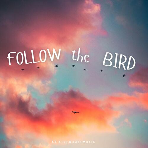 Follow The Bird cover art