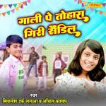 Gali Pe Tohara Giri Sandil