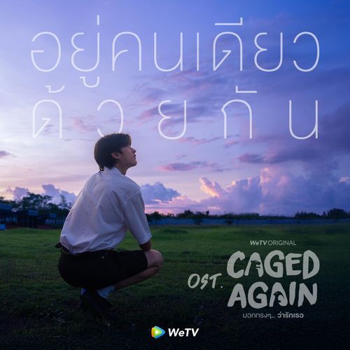 เพลง อยู่คนเดียวด้วยกัน (Loners Together) Ost.Caged Again_poster_image