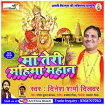 Ma Teri Mahima Mahan