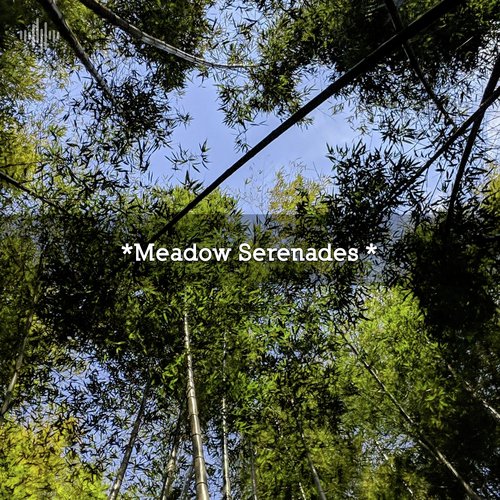 Ambient Nature Sounds cover art