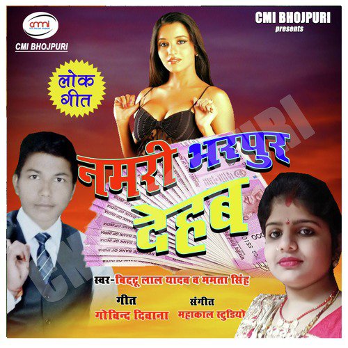 Namari Bharapur Dehab - Single