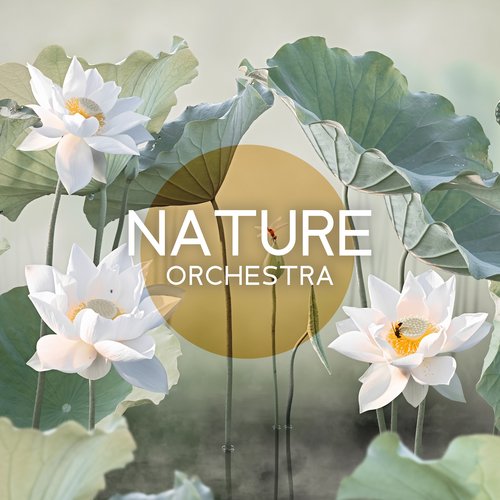 Nature Orchestra: Sounds of Stream, Birds, Ocean and Rhythms of Handpan