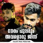 Neram Pularum Avaloru Jinnu artwork