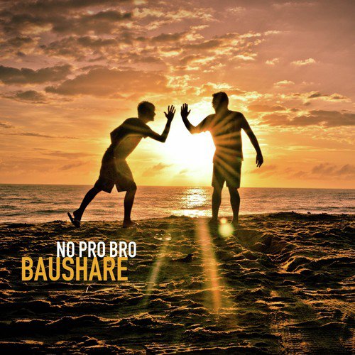 BauShare