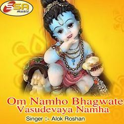 Om Namho Bhagwate Vasudevaya Namha-XQUNZkxnB1w