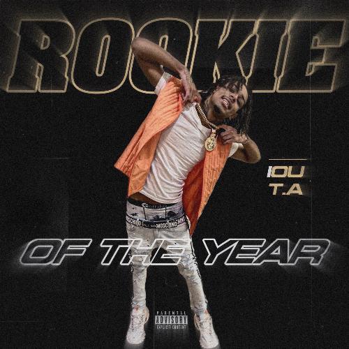 Rookie of the Year_poster_image