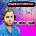 Sabze chonen deesthagun