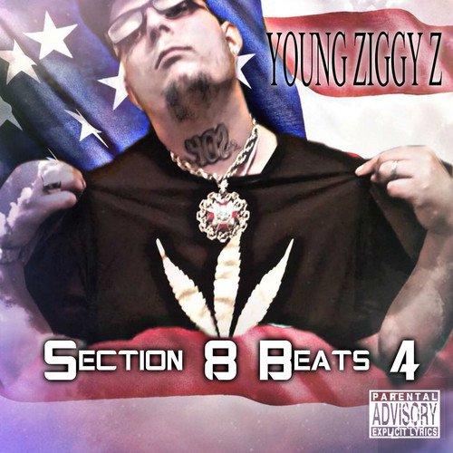 Section 8 Beats 4