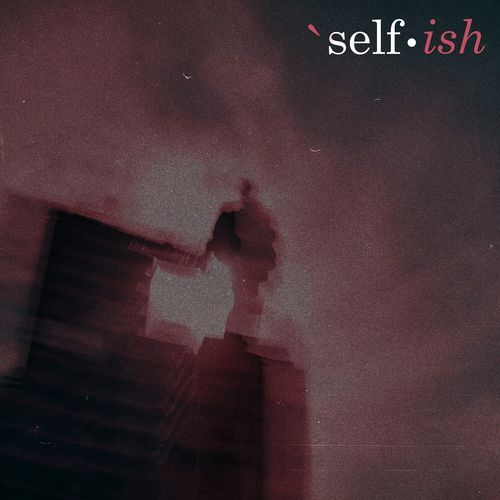 Selfish (Remix)