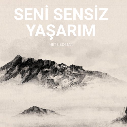 Seni Sensiz Yaşarım cover art
