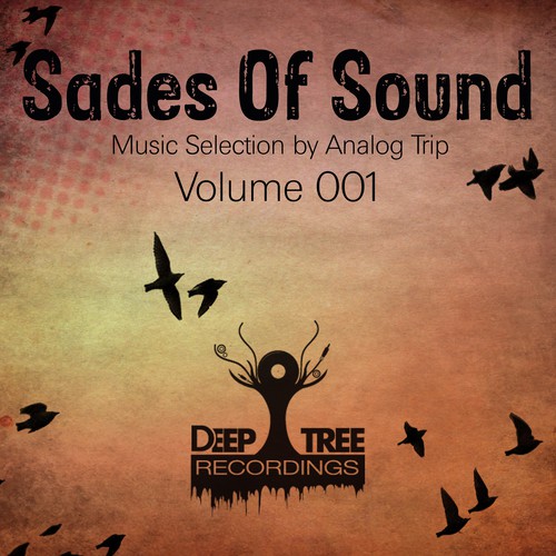 Shades of Sound Vol 001
