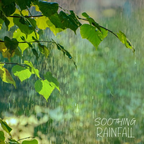 Soothing Rainfall: Relax and Breathe