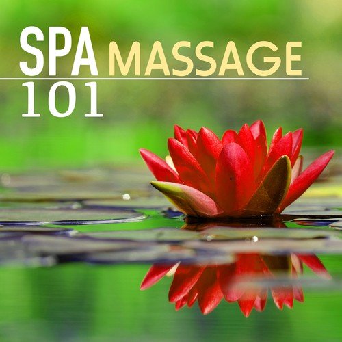Massage Therapeutic Music cover art