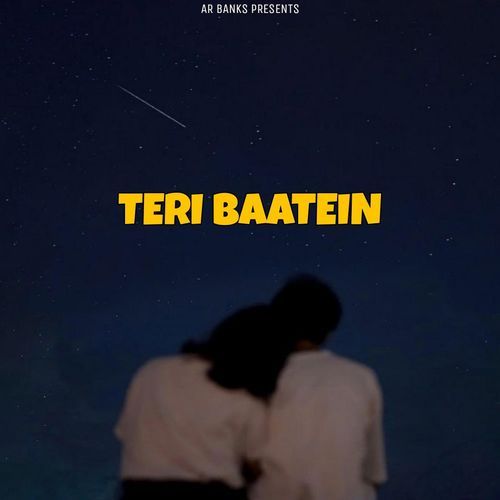 Teri Baatein