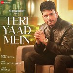 Teri Yaad Mein