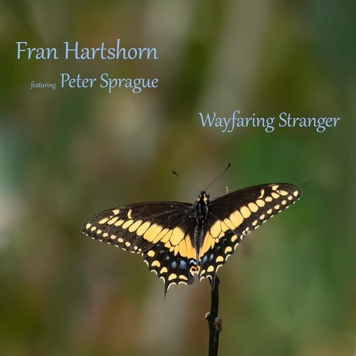 Wayfaring Stranger (feat. Peter Sprague) cover art