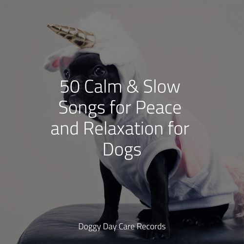 Meditating Music cover art