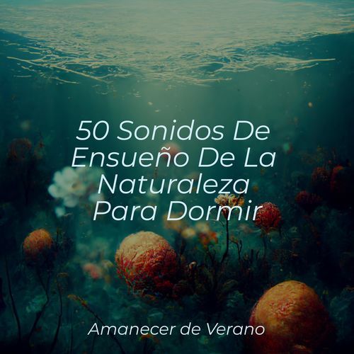 50 Sonidos De Ensueño De La Naturaleza Para Dormir_poster_image