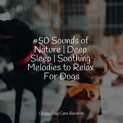 #50 Sounds of Nature | Deep Sleep | Soothing Melodies to Relax For Dogs_poster_image