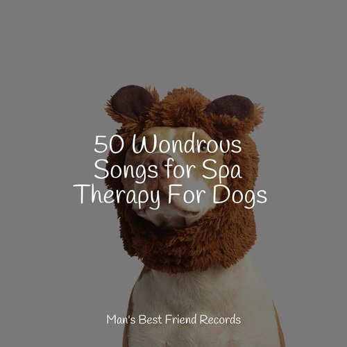 50 Wondrous Songs for Spa Therapy For Dogs