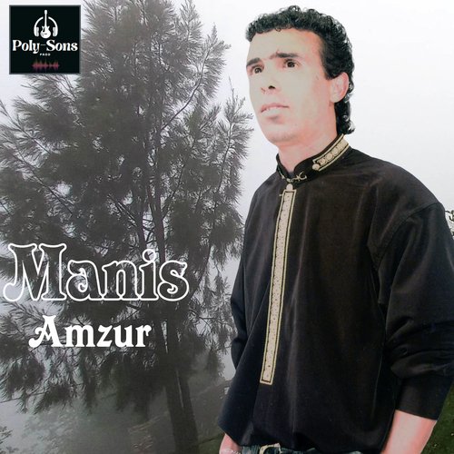 Amzur_poster_image