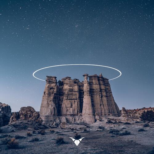Blossoms cover art