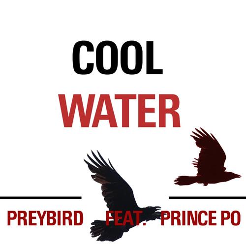 Cool Water (feat. Prince Po)