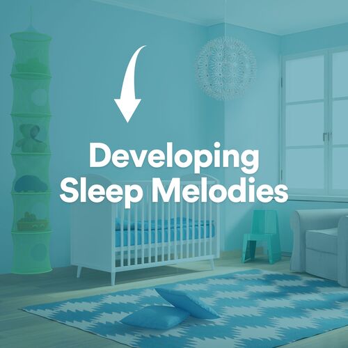 Developing Sleep Melodies_poster_image