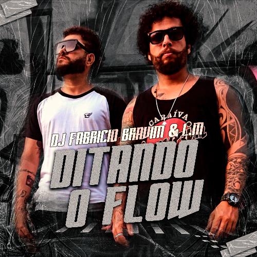 Ditando o Flow_poster_image