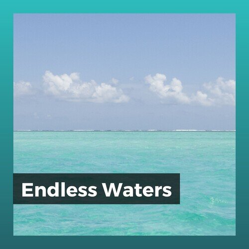 Barnacle cover art