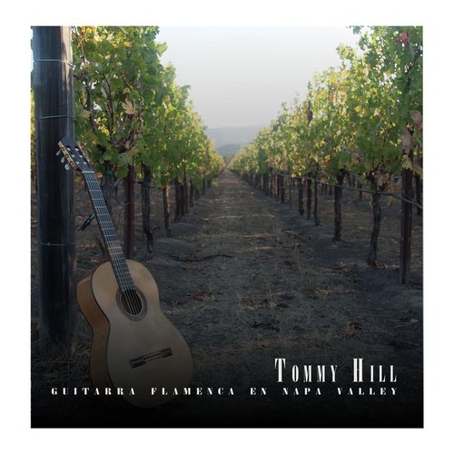 Guitarra Flamenca en Napa Valley