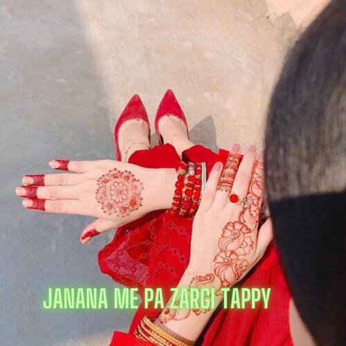 Janana Me Pa Zargi Tappy