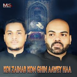 Koi zainab kon ghin aawey haa-RBANVSxjekQ