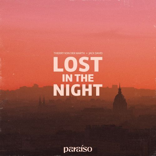 Lost In The Night_poster_image