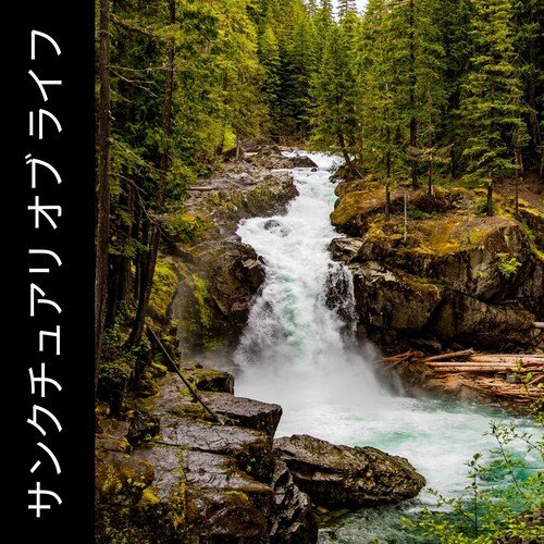 Koshi Chimes cover art