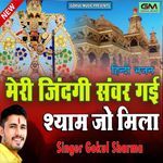 Meri Jindagi Sanvar Gai Shyam Jo Mila