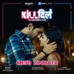 Meri Zindagi (Original Soundtrack from Kill Dill)