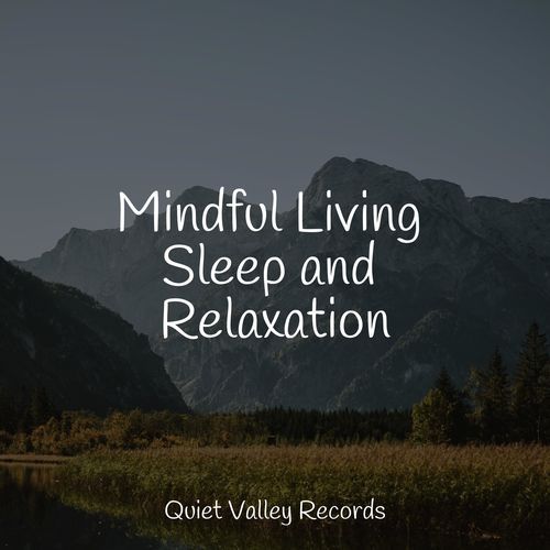 Mindful Living Sleep and Relaxation